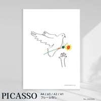 poster pigeon2 202508