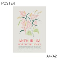 poster ANTHURIUM