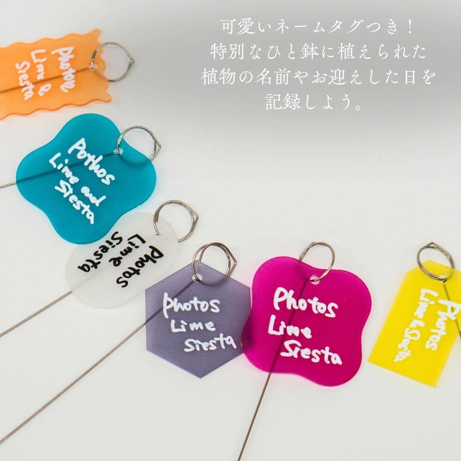 673e9bde589ed604dd718f33