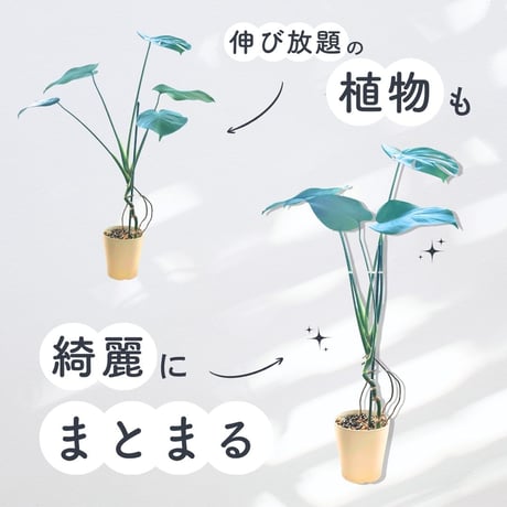 植物の広がり防止 SUPPORT STAKE 2個入り