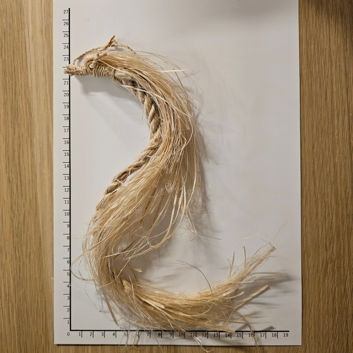 精麻龍神】 〜清め、整え、氣を静かにめぐらせる、祓いの守護龍