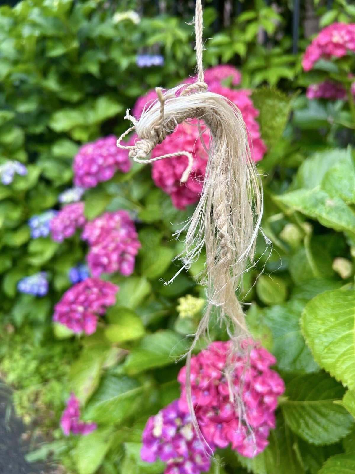 精麻龍神】 〜空間と心を整える、龍神の浄化飾り〜 | あいのむすひ