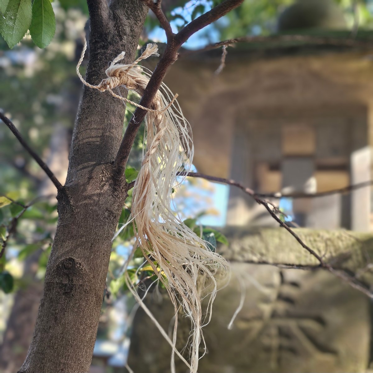 精麻龍神】 〜空間と心を整える、龍神の浄化飾り〜 | あいのむすひ