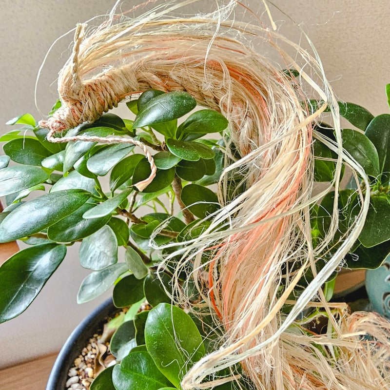 精麻 虹龍神】 〜天からの光をまとい、運を開く虹の龍〜 | あいのむすひ