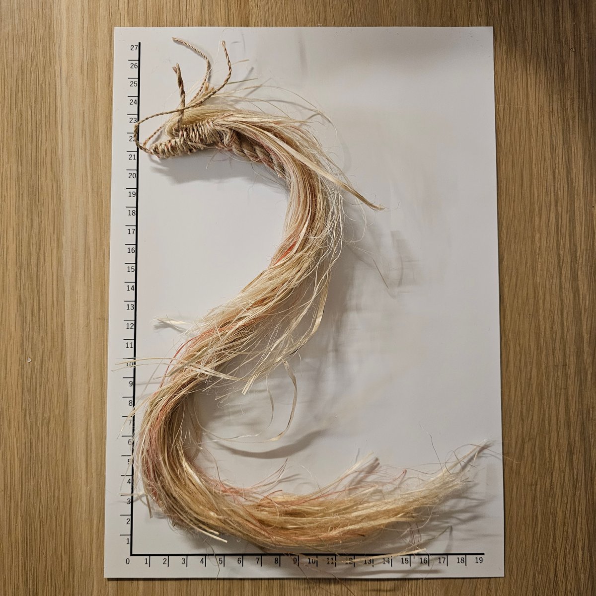 精麻虹龍神】 〜光を呼び込み、人生の流れを新たに動かす“開運の守護龍