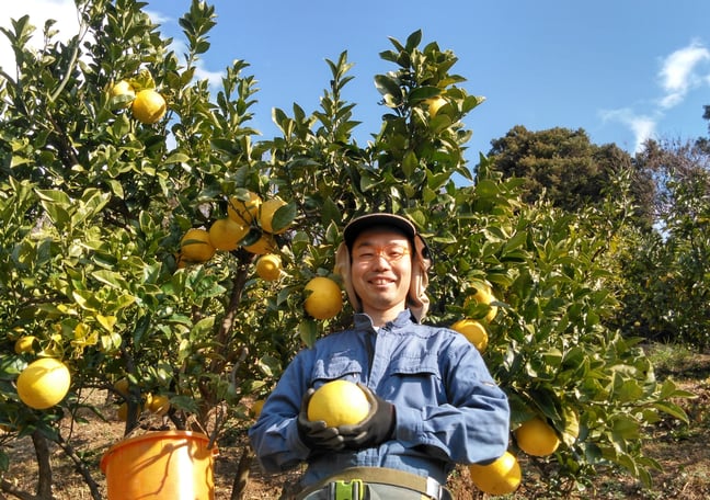 土佐水谷農園公式サイト