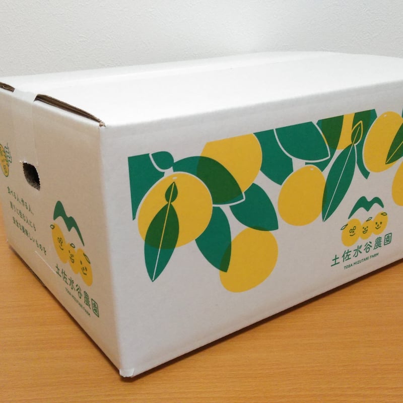 土佐文旦 家庭用訳あり品 大小混合 Lサイズ以上、上限なし 3kg(5個前後
