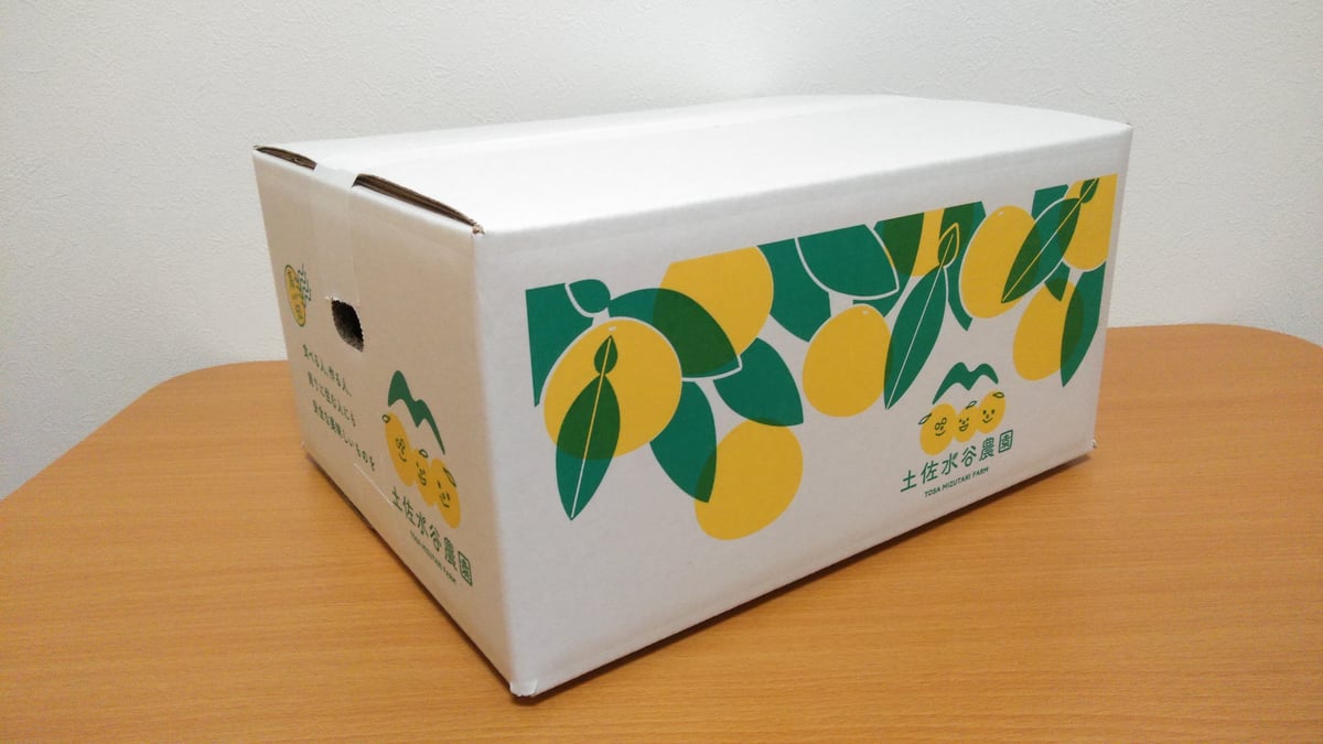 土佐文旦 家庭用訳あり品 大小混合 Lサイズ以上、上限なし 3kg(5個前後