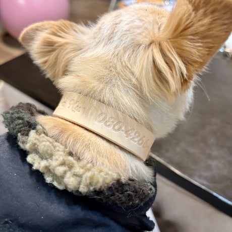 小型犬用首輪