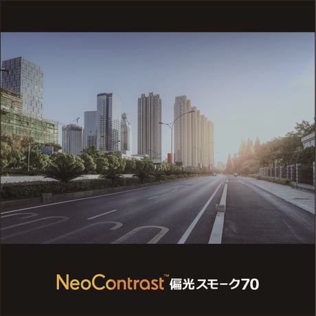 ITOX - イトックス　ネオコントラスト 偏光スモーク70（度なし）