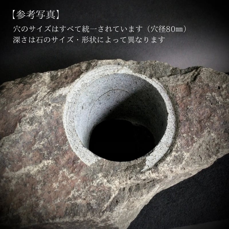 石鉢 右衛門 弐右衛門 | SUCCULENTS Plant