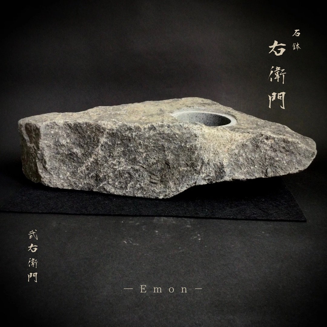 石鉢 右衛門 弐右衛門 | SUCCULENTS Plant