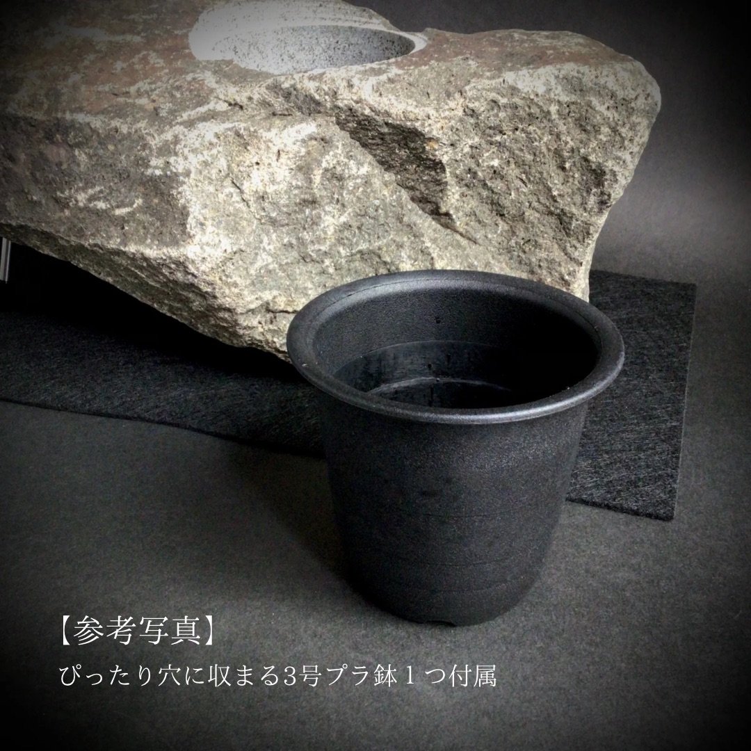 ヨーム　鉢 石鉢 右衛門 弐右衛門 | SUCCULENTS Plant