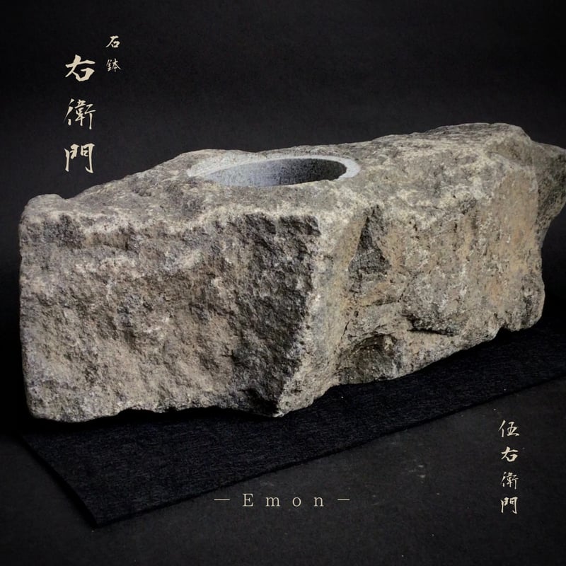 石鉢 右衛門 伍右衛門 | SUCCULENTS Plant
