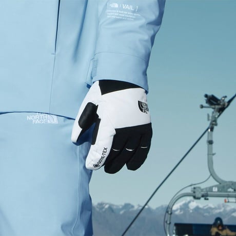 TNF GTX VAIL GLOVE WHITE NJ3SR58D