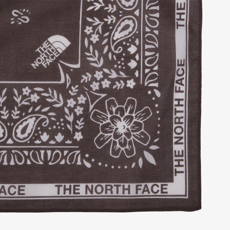 BANDANA_PAISLEY_80'S BROWN NHA5BS370F