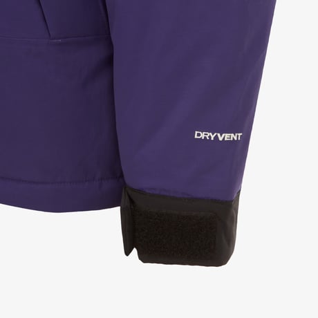 M'S GORE-TEX MOUNTAIN DOWN JACKET (RDS) PURPLE NJ1DQ04E