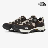 SIERRA BOA GTX BROWN NS91R02A
