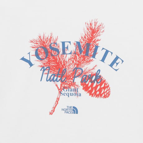W'S DAYPINE S/S R/TEE WHITE NT7US33B