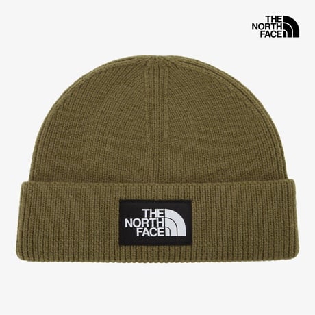 BIG LOGO BEANIE DRIED HERB NE3BR61A