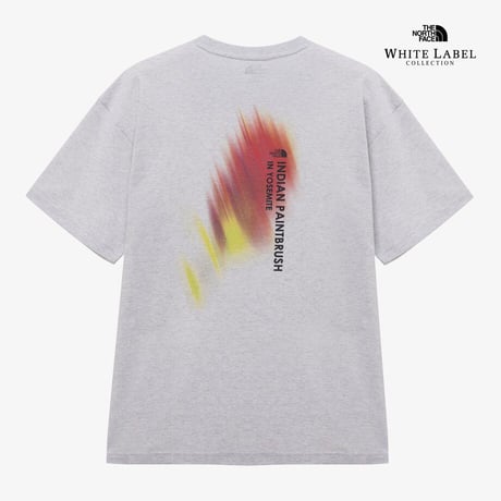 FLOWER SPRAY S/S R/TEE OATMEAL NT7UR09K