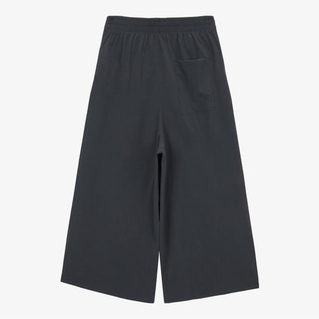 W'S ICECUBE PANTS METAL GRAY NP6NS40B