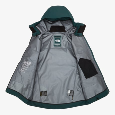 【SUMMIT SERIES】M'S SUMMIT EIGER GTX JACKET PINE NJ2GS22C