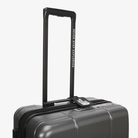 TNF NEW WHEELER 24 METAL GRAY NN2AS79C