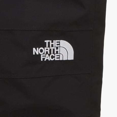 M GTX MOUNTAIN PANT BLACK NP6GP50A