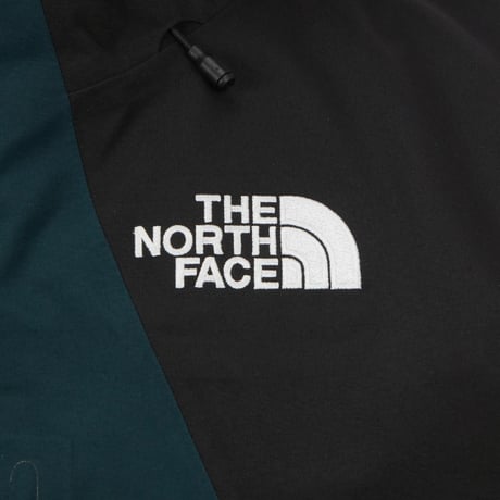 【SUMMIT SERIES】M'S MERAPEAK GTX PRO JACKET DARK GREEN NJ2GS02B