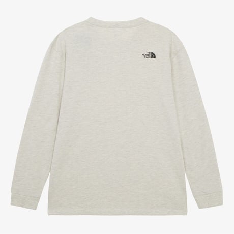 TNF CORE EX L/S R/TEE OATMEAL NT7TR59C
