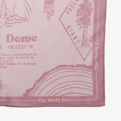 BANDANA_PINE CONE PEACH NA5BS02B