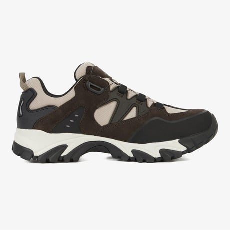SIERRA BOA GTX BROWN NS91R02A