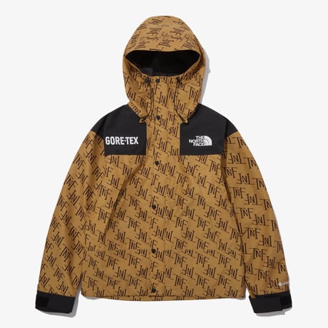 M'S GTX MOUNTAIN JACKET BEIGE BROWN NJ2GP70B