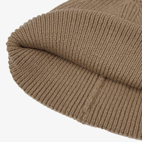 BIG LOGO BEANIE DARK BEIGE NE3BS52E
