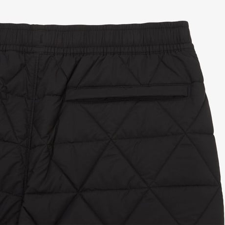 M'S GEODOME V PANTS BLACK NP6NQ55A