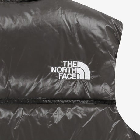 W'S NOVELTY NUPTSE VEST (RDS) COFFEE BROWN NV1DR81K