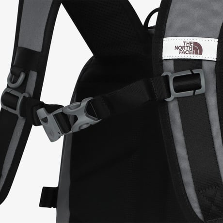 STANDARD MAX BACKPACK GRAY NM2DS07L