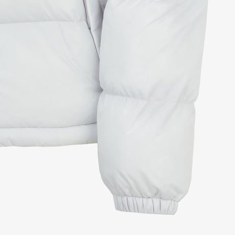 W'S NUPTSE ON BALL JACKET ICE GRAY NJ3NQ83B
