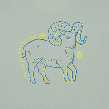 ZODIAC S/S R/TEE 2 JADE NT7US53F