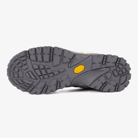 SIERRA BOA GTX GRAY NS91R02B