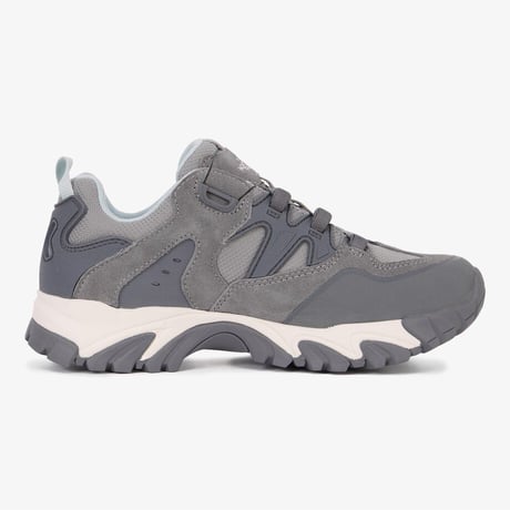 SIERRA BOA GTX GRAY NS91R02B