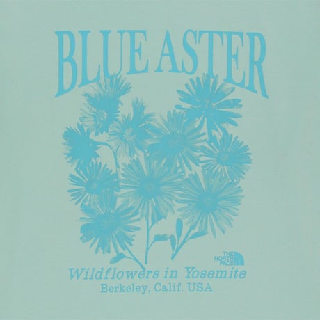 WILDFLOWER S/S R/TEE PASTEL TURQUOISE NT7US07M