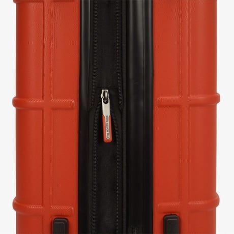 TNF NEW WHEELER 20 RED NN2AS78E
