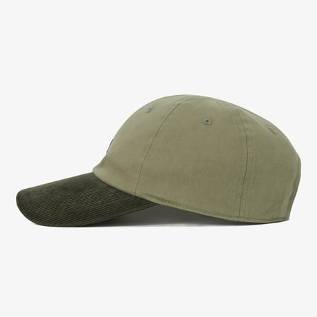 TNF MINI LOGO BALL CAP DRIED HERB NE3CQ53C