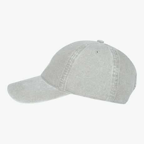 LOGO BALL CAP GRAY NE3CS00L