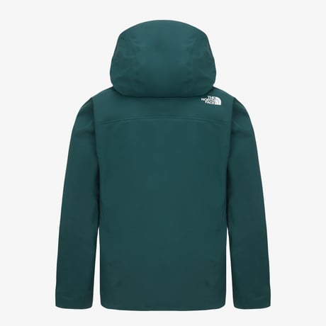 【SUMMIT SERIES】M'S SUMMIT EIGER GTX JACKET PINE NJ2GS22C