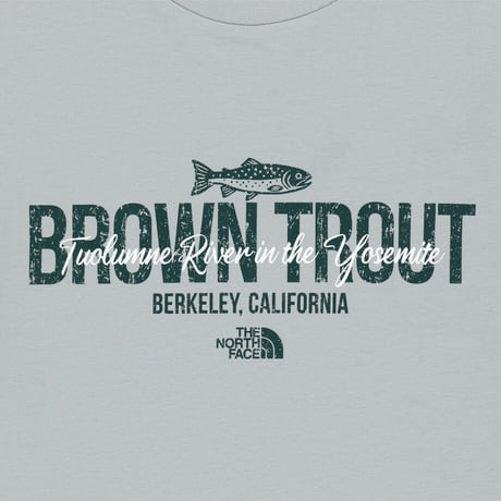 TRUTTA S/S R/TEE ICE GRAY NT7US24L