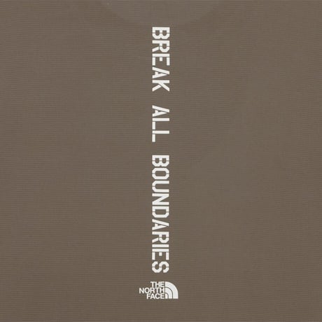 TNF RUN S/S R/TEE BEIGE BROWN NT7UR19D