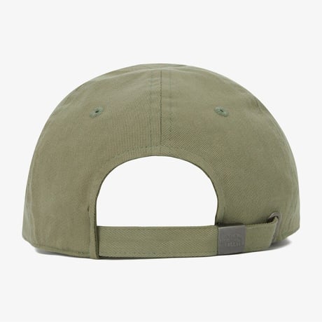TNF MINI LOGO BALL CAP DRIED HERB NE3CQ53C